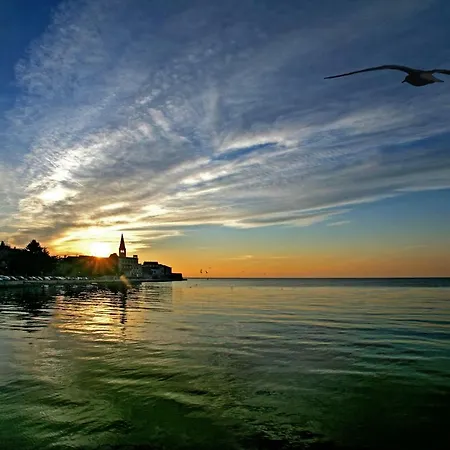 Sofia - Quiet Oasis In The Heart Of * Poreč
